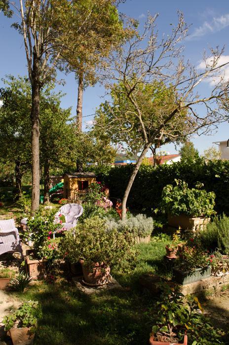 Rose e Merletti Pension Sasso Feltrio Buitenkant foto